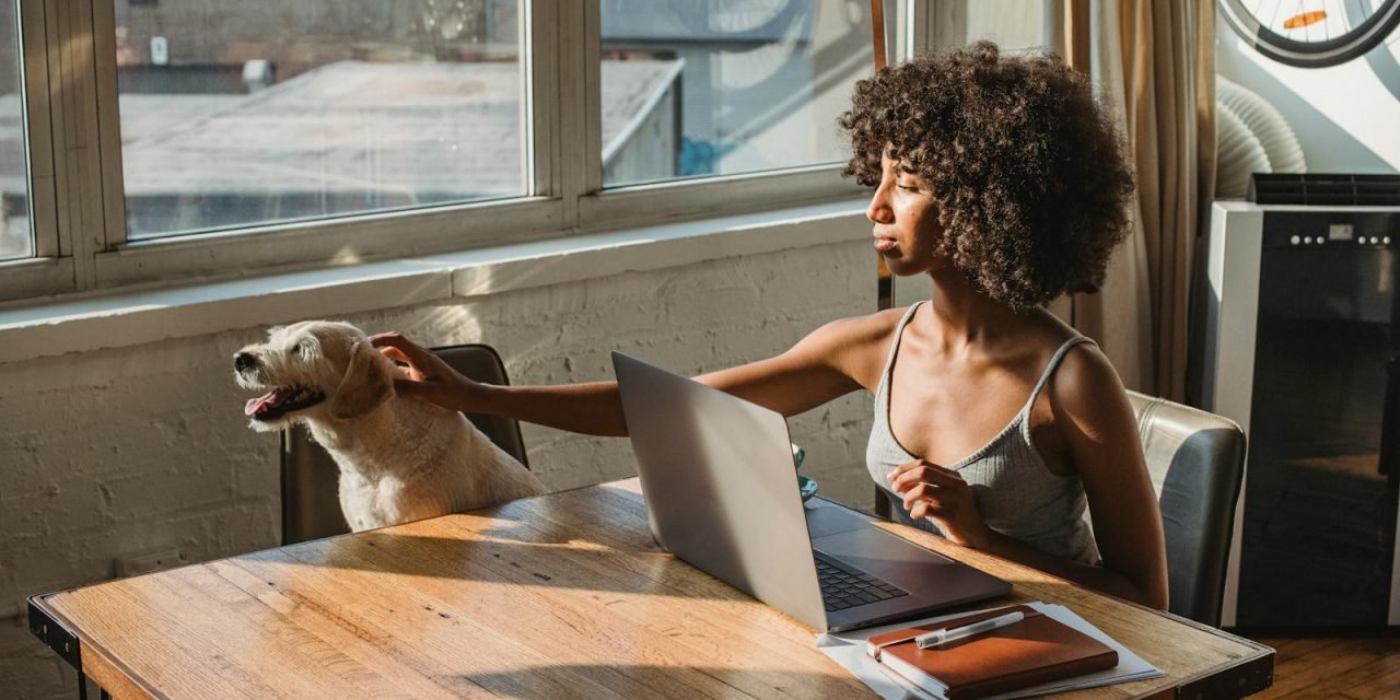 Young woman working at home on laptop, petting her dog. Sunlit room with modern decor and a warm vibe.